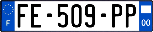 FE-509-PP