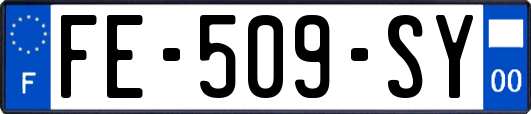 FE-509-SY