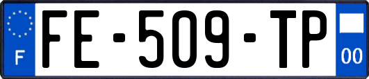 FE-509-TP