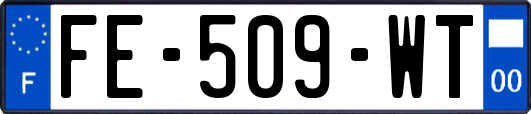 FE-509-WT