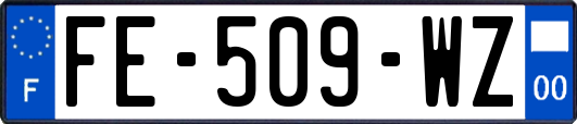 FE-509-WZ