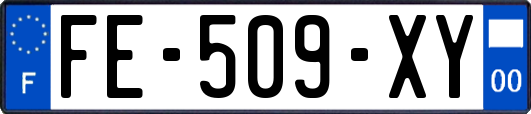FE-509-XY