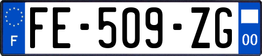 FE-509-ZG