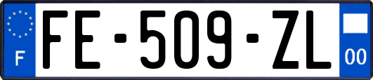 FE-509-ZL