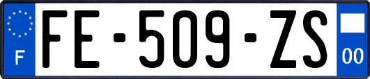 FE-509-ZS