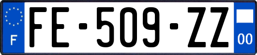 FE-509-ZZ