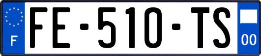 FE-510-TS