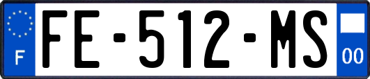 FE-512-MS
