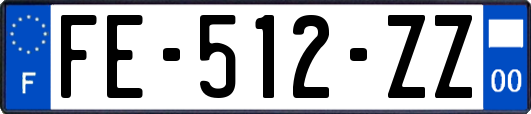 FE-512-ZZ