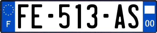 FE-513-AS