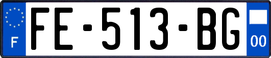 FE-513-BG