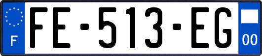 FE-513-EG