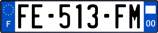 FE-513-FM