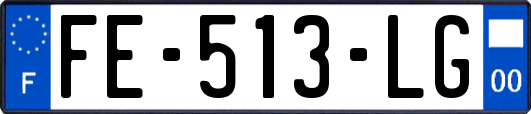 FE-513-LG