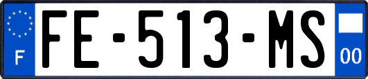 FE-513-MS