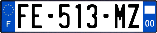 FE-513-MZ