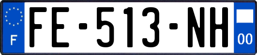 FE-513-NH