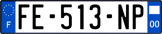 FE-513-NP