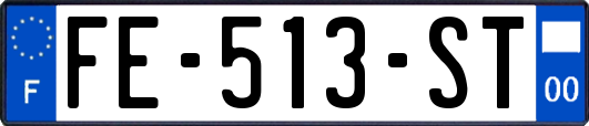 FE-513-ST