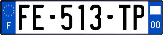 FE-513-TP
