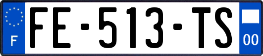 FE-513-TS