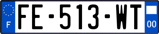 FE-513-WT