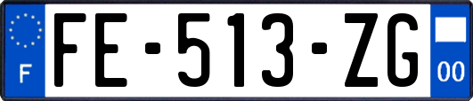 FE-513-ZG