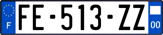 FE-513-ZZ