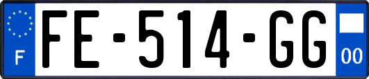 FE-514-GG