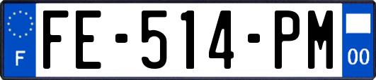 FE-514-PM