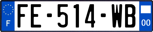 FE-514-WB