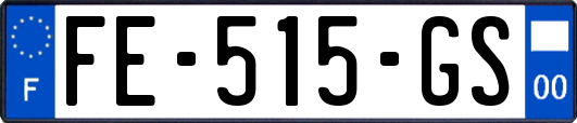 FE-515-GS