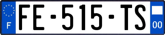 FE-515-TS