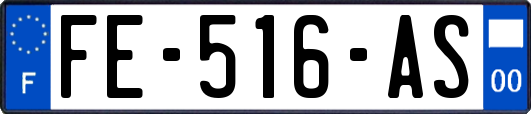 FE-516-AS