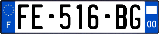 FE-516-BG