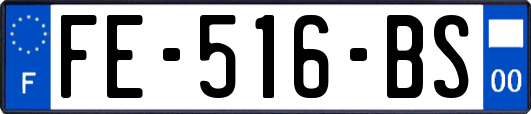 FE-516-BS