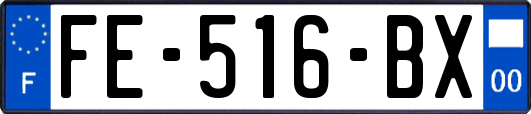 FE-516-BX