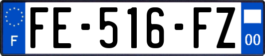 FE-516-FZ