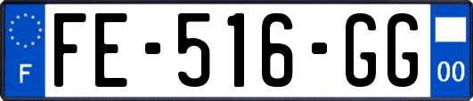 FE-516-GG