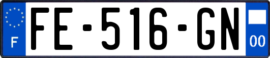 FE-516-GN
