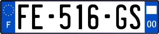 FE-516-GS