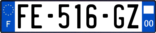 FE-516-GZ