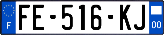 FE-516-KJ