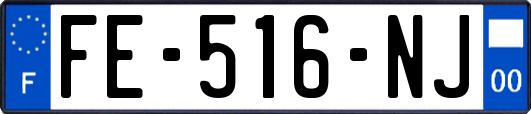 FE-516-NJ