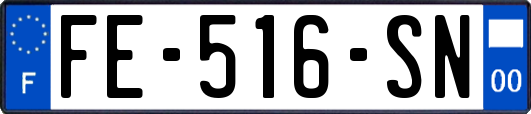 FE-516-SN