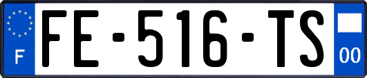 FE-516-TS