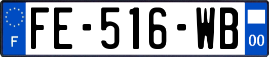 FE-516-WB