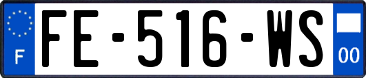 FE-516-WS