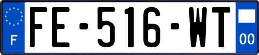 FE-516-WT