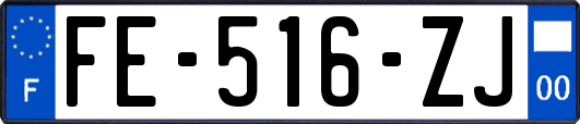 FE-516-ZJ